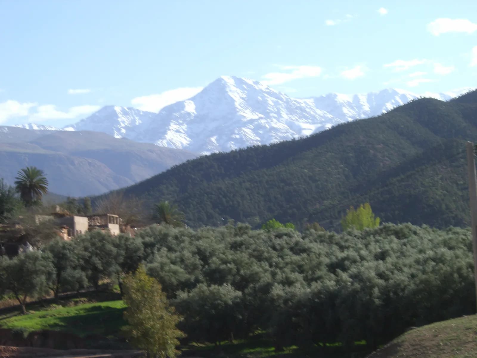 Atlas y Valle de Ourika — Excursión de un día