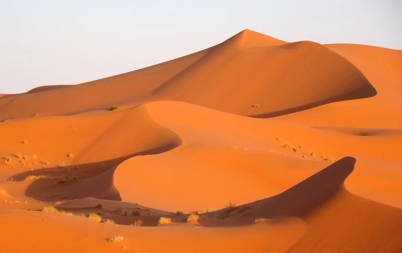 Sahara & Desert